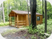 Rustic Cabins